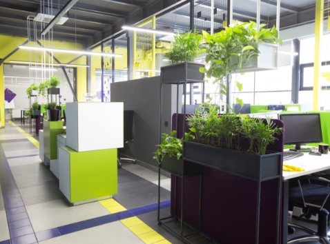 店舗デザイン事例